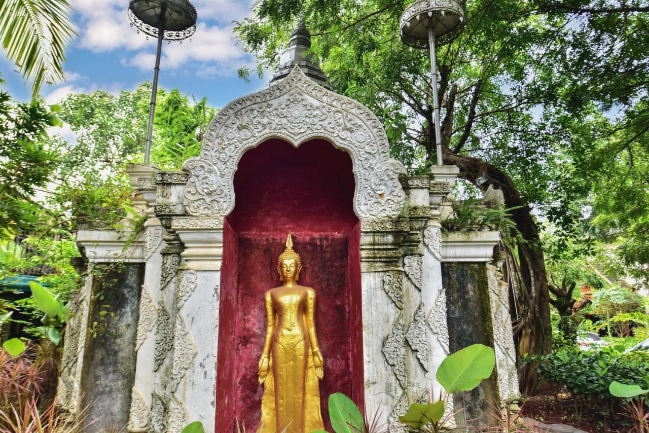 Xishuangbanna Elephant Home Guesthouse جينغهونغ المظهر الخارجي الصورة