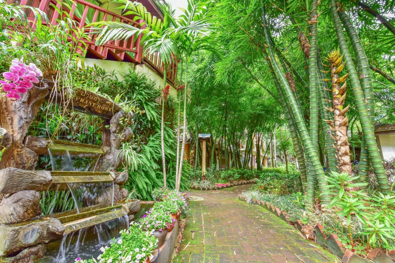 Xishuangbanna Elephant Home Guesthouse جينغهونغ المظهر الخارجي الصورة